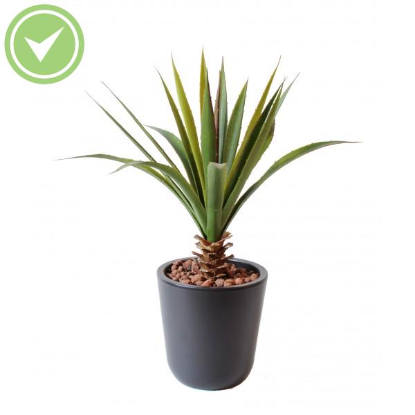 Aloe Ferox Diam 40 Cactée artificielle