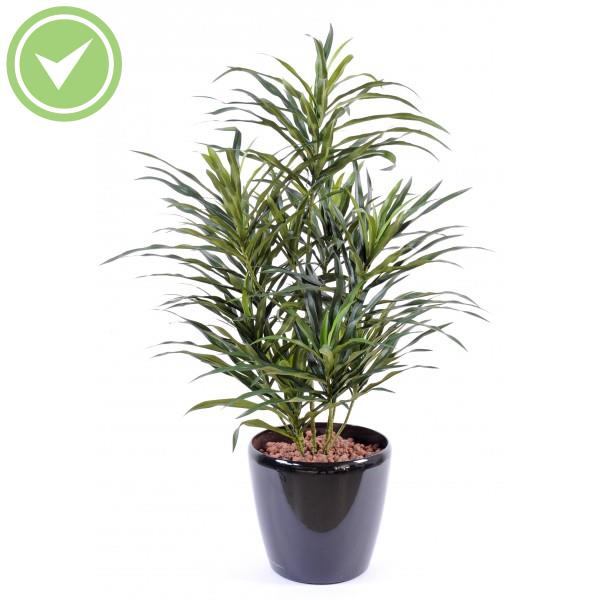 Dracaena Anita Pot Plante verte artificielle