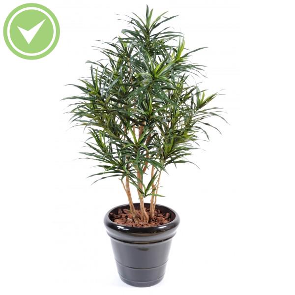 Dracaena Anita Arbre artificiel