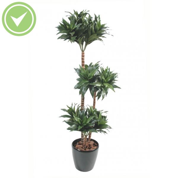 Dracena Fragrans Arbre artificiel