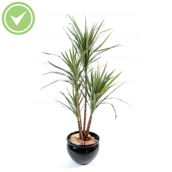 Dracena Marginata Arbre artificiel