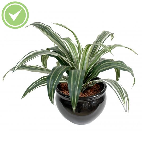 Dracena Warneki 20F Plante verte artificielle