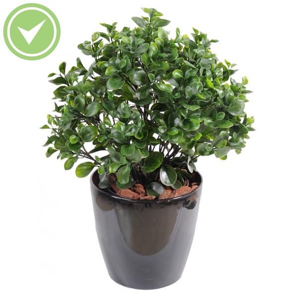 Peperomia Plast Buisson Végétal artificiel