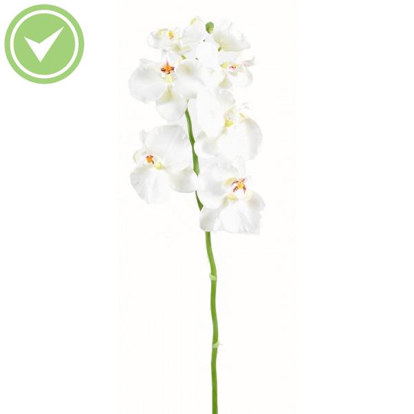 Phalaenopsis Tige Medium*6 Fleur éxotique artificielle