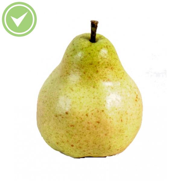 Poire Fruit artificiel