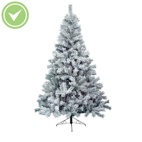 Sapin Blanc Enneigé Noël