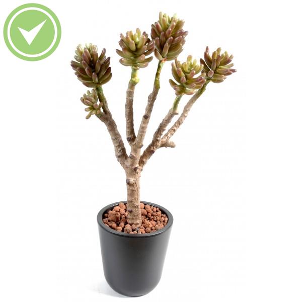 Succulent Tree Cactée artificielle